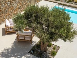 Villa Venti Private Pool Retreat, Mykonos