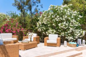 Bohemian Pearl - artsy oasis in the North of Ibiza