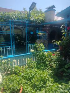 Casa de vacanta ,,Puiu & Nelly,,