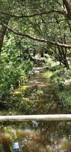 Peninsula Caravan Park Cooktown