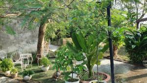 PINE-APPALE Riverside Resort