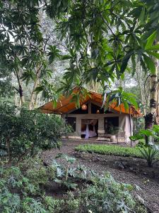 the Roost Tented Camp