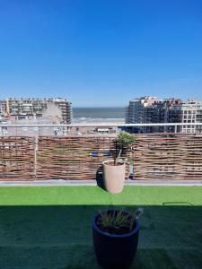 Westende Penthouse