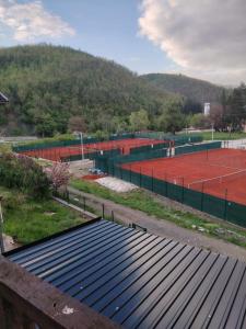 Apartman Teodora