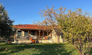 House Among Olive Trees Near the Sea