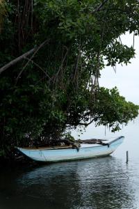 Aayu Lagoon