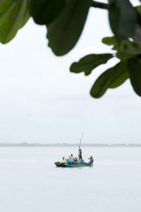 Aayu Lagoon