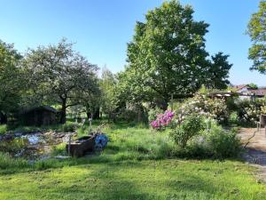 Ferienwohnung Waldrandlage zum Voithenberg