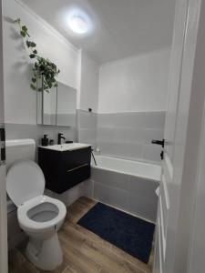 Studio Central Premium