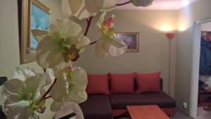 Apartament Konopnicka