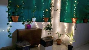 The Cozy Crest 2BHK Bilaspur