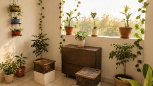 The Cozy Crest 2BHK Bilaspur