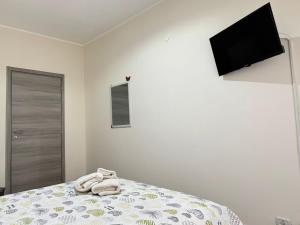 Alba Vesuviana B&B
