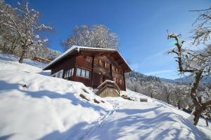 Chalet Alte Mühle