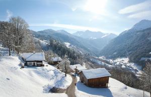 Chalet Alte Mühle