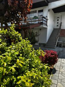 Sunset terrace