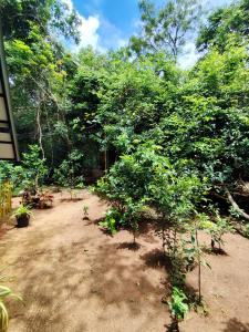 Wild Haven Eco Resort Sigiriya