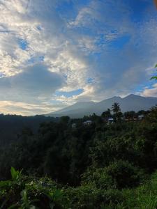 Ababil Guest House