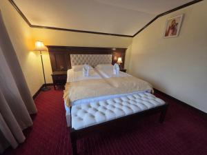 Hotel Trei Brazi
