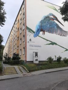 2 pokojowy apartament z kuchnią - Kraków Podgórze Kozłówek
