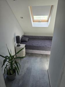 White House Apartman Miskolc,Penthouse
