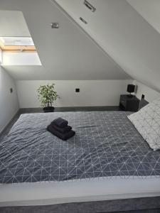 White House Apartman Miskolc,Penthouse