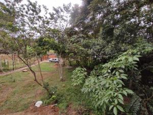 Glamping Barbosa Antioquia