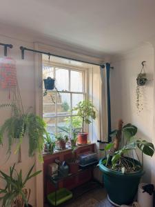 Lush Garden Flat 30 Secs to the Sea
