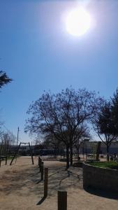 Adelon Apartments