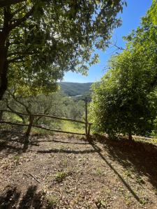 La Casetta dei Pereti
