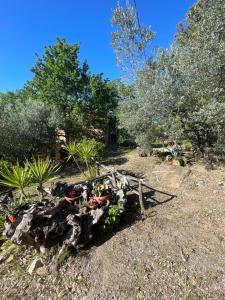 La Casetta dei Pereti