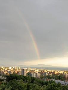 Fiori darancio