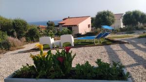 Villa la Torre Levante img2