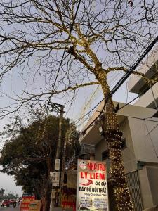 Nhà trọ Lý Liêm