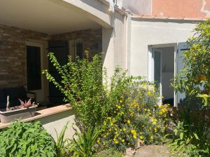 Studio jardin