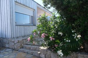 Camp Buqez 45 - Villa Artica
