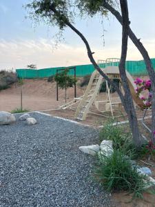 thedesert08