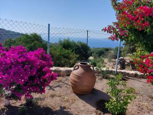 «Astrofeggia» A private stone house Nature-Seaview