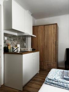 Studio Apartman M&S Apatin