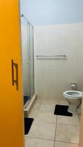 DL Apartments