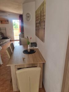 Haus Pedinka Apartment 2