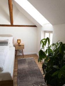 TINY TEUTO HOUSE- Die alte Schusterei