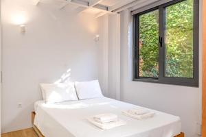 Cozy central garden flat