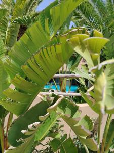 Luxury Villa, Private Pool, Amelkis Golf Course