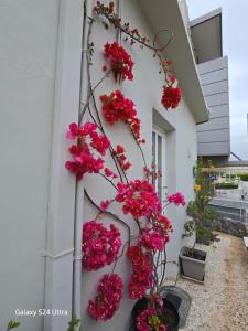 ERIS House