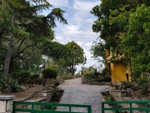 Cal Morera, Pau entre vinyes
