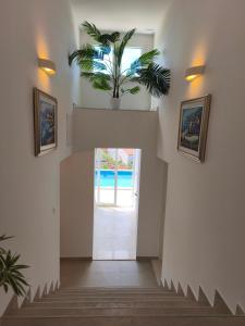 Villa Ivona