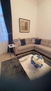 Luxurious Baushar Apartment