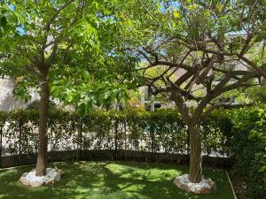 Secret Garden