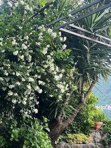 Be happy in Perast